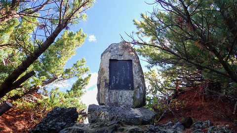 P9010012