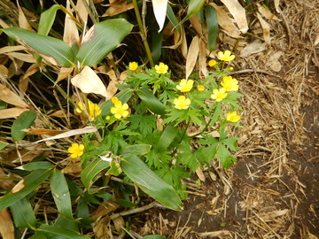 DSCN5031