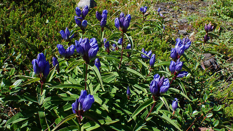 P9010091