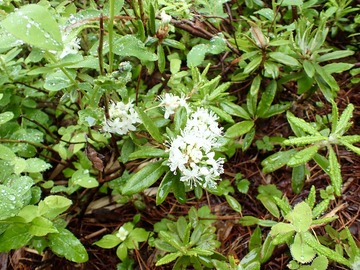P7030037