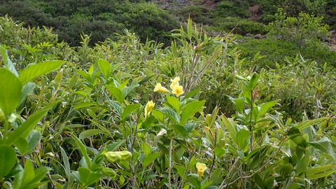 P6230178