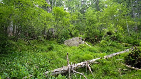 P8030112