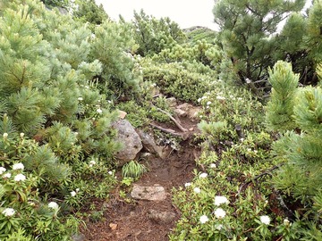P7030065