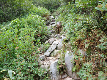 P9160057