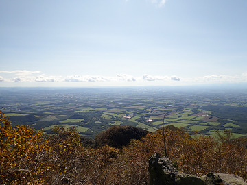 PA020065