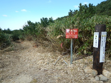 DSCN3041