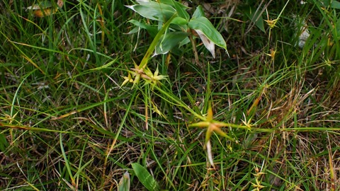 P8030034