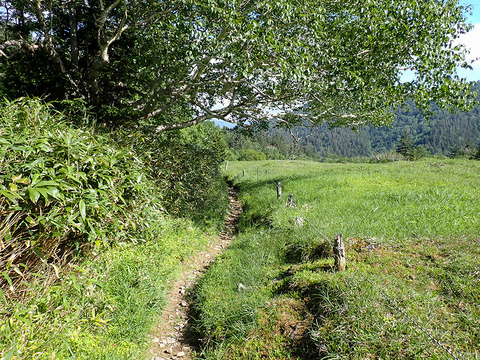 P7060334
