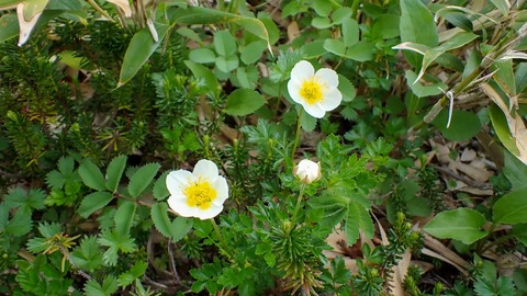 P6230177