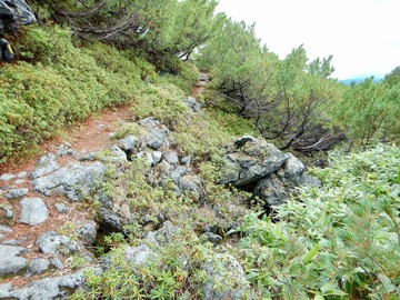 DSCN3858