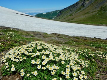DSCN3670