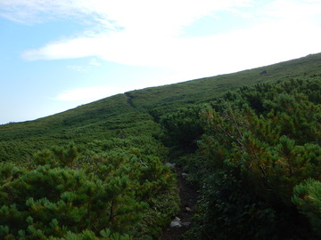 DSCN1830