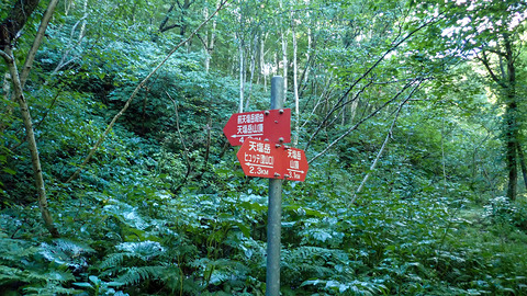 P8180023