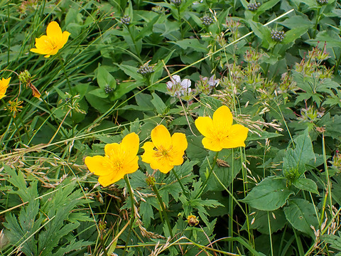P8030127