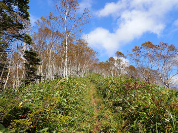 PA020089