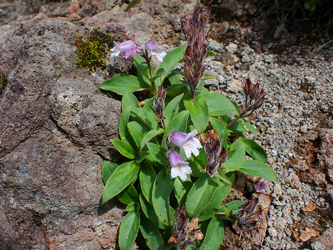 P8030102