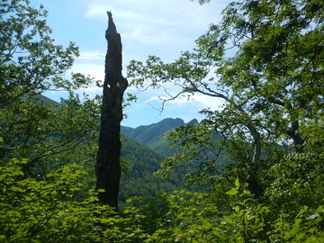 DSCN4997