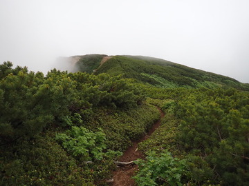 P7030135