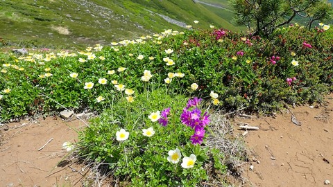 P6300206