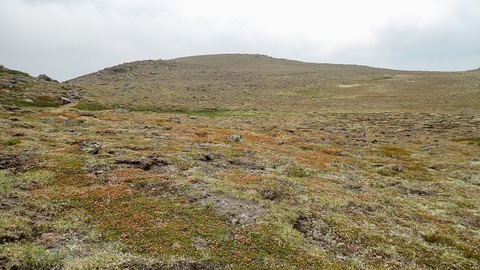 P6230134