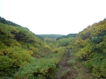 DSCN2781