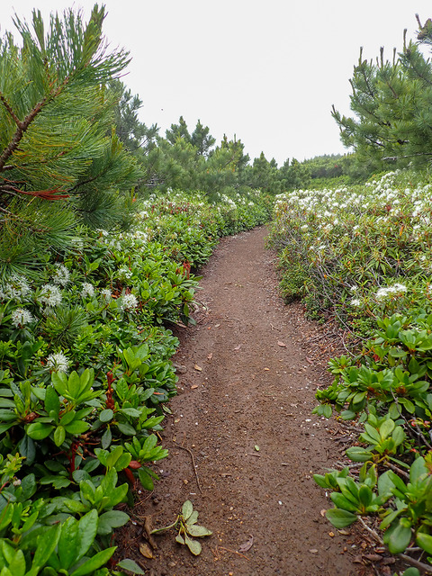 P7130073