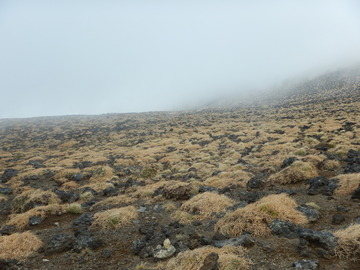 DSCN2187