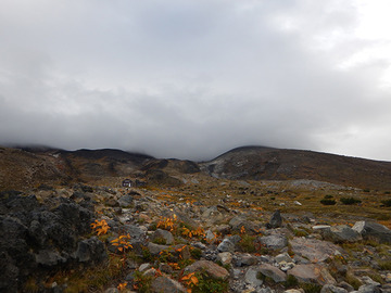 DSCN0746