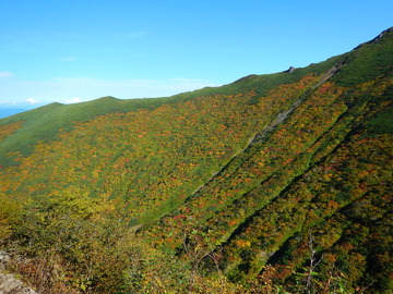 DSCN4091
