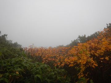 DSCN6832