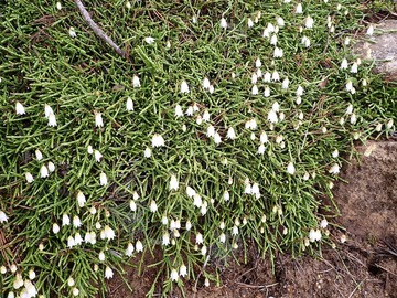 P7030081