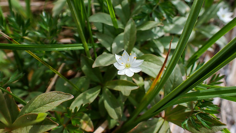 P7130309