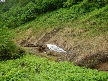 DSCN5372