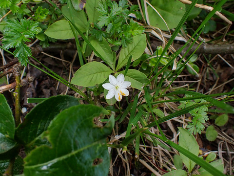 P7130156