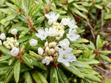 P7030143