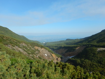 DSCN7682