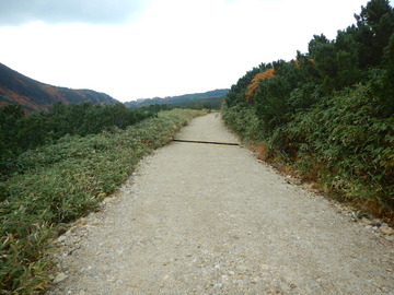 DSCN2265