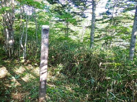 P7120011