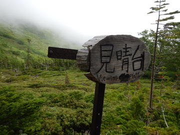DSCN5368