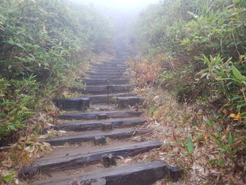 DSCN6836