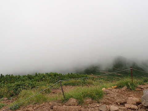 P8030092