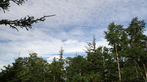P9070019
