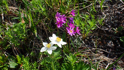 P7150114