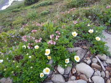 DSCN7746
