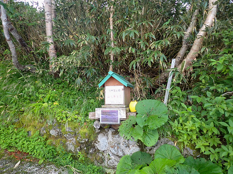 P8030019