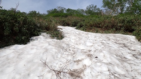 P6160021