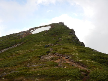 DSCN7736