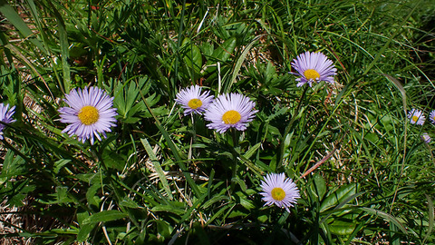 P7150106