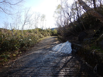 DSCN7342