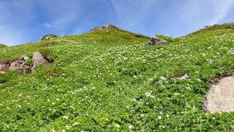 P6300074